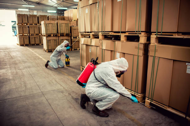 Professional Pest Control in Mcewen, TN