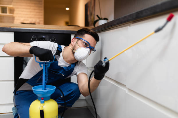 Best Cockroach Control Services  in Mcewen, TN