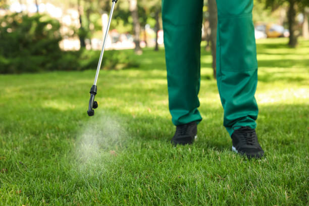 Best Residential Pest Control  in Mcewen, TN