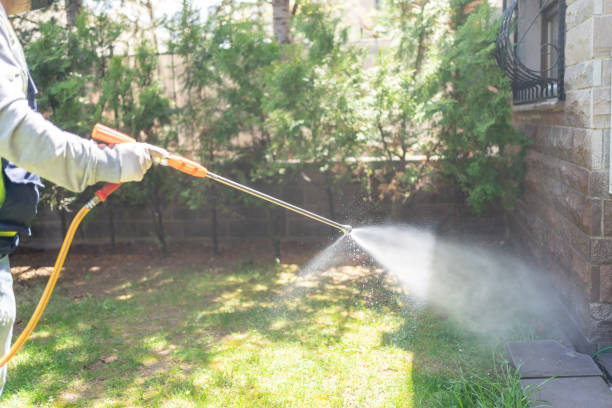 Best Affordable Pest Control Services  in Mcewen, TN