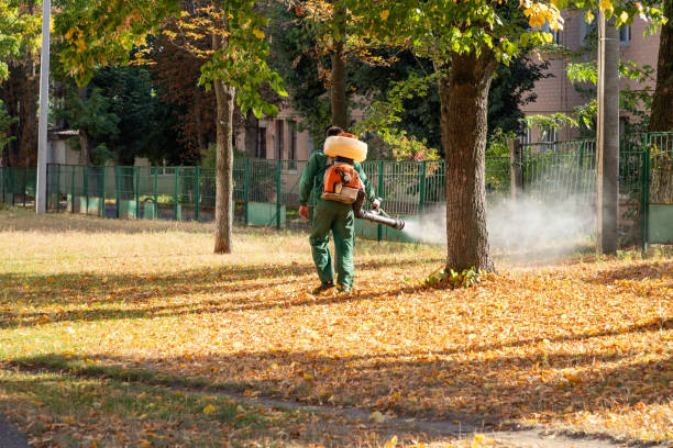 Best Wildlife Control Services  in Mcewen, TN